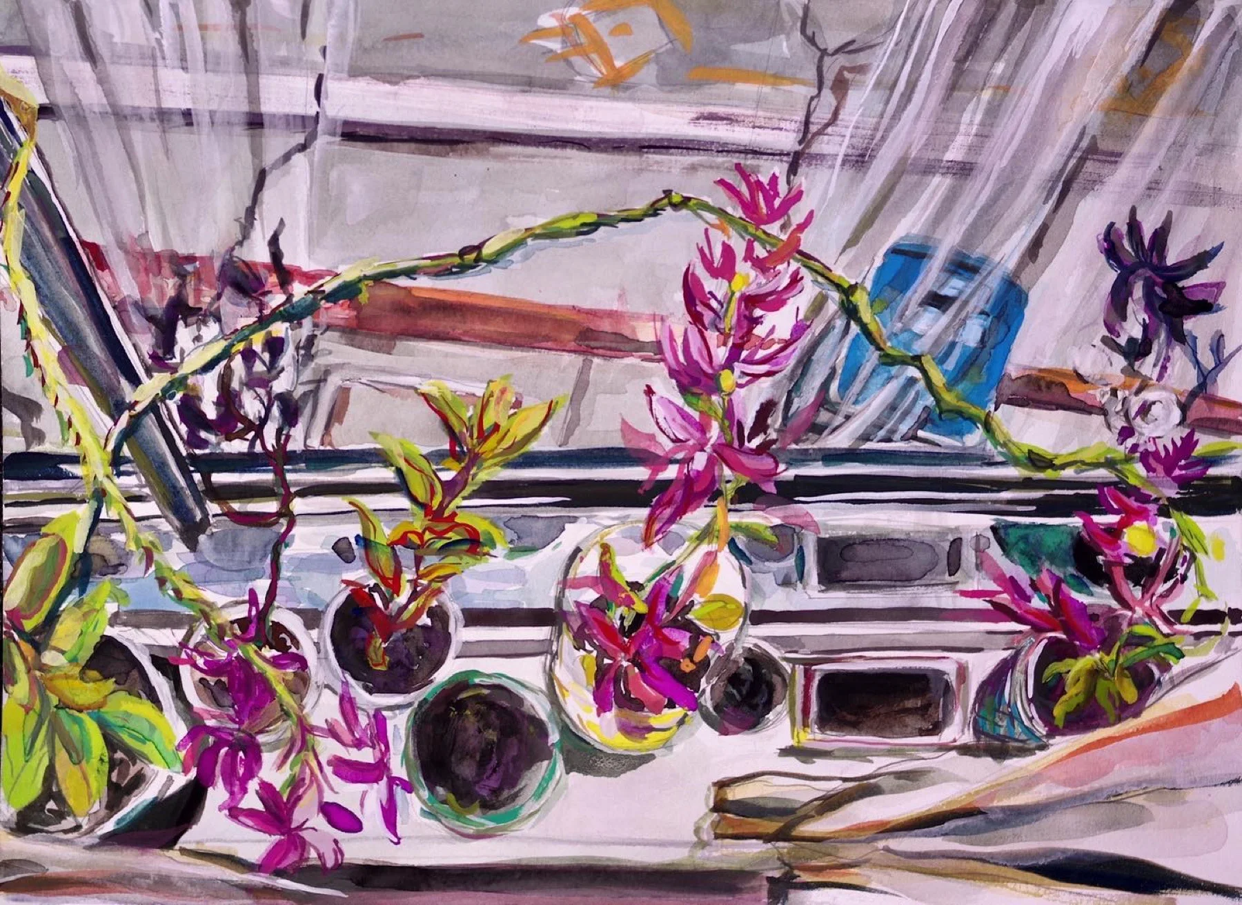Studio-window view with flowering houseplants, San Francisco