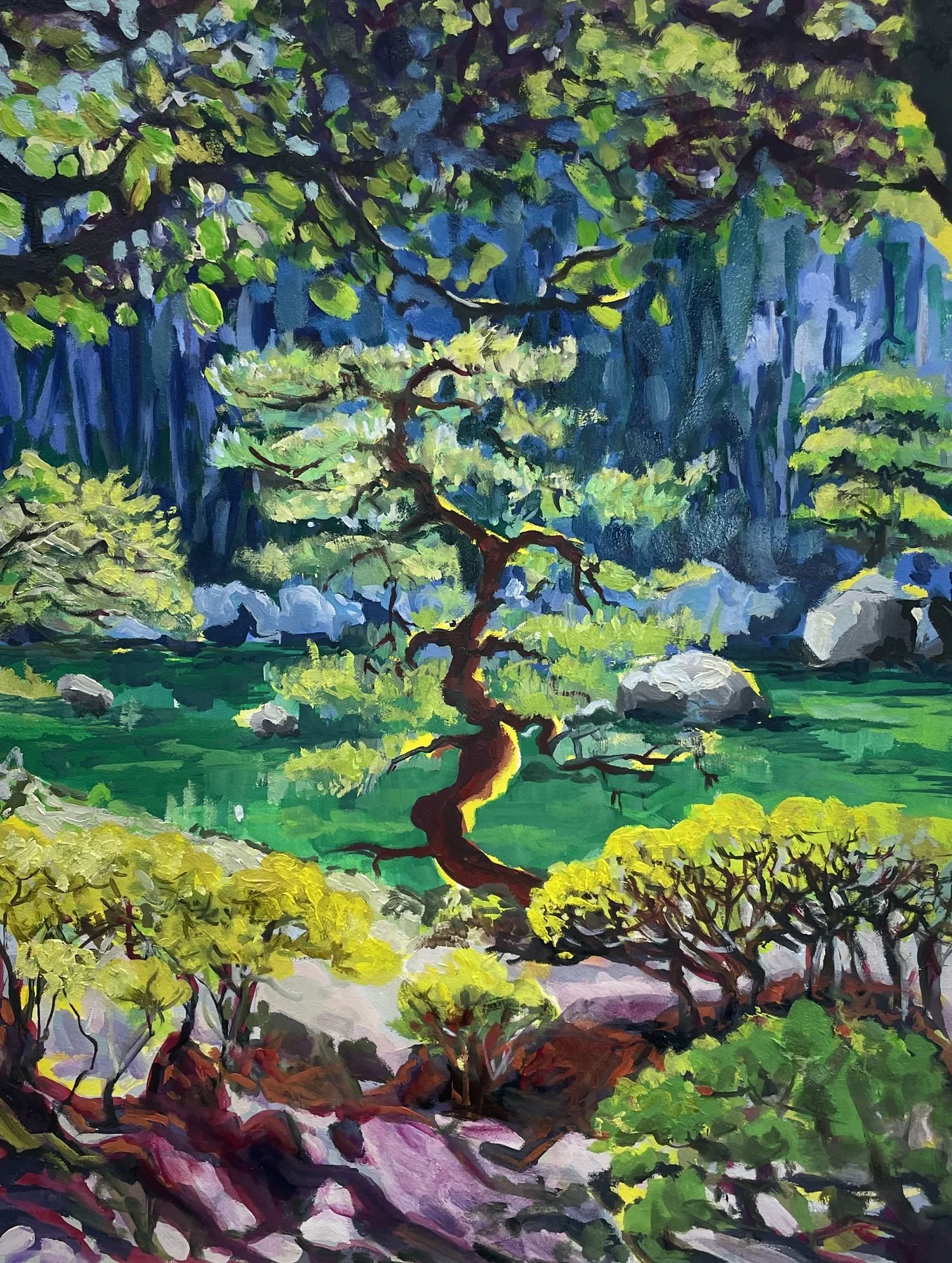 Japanese garden with sculptural pine