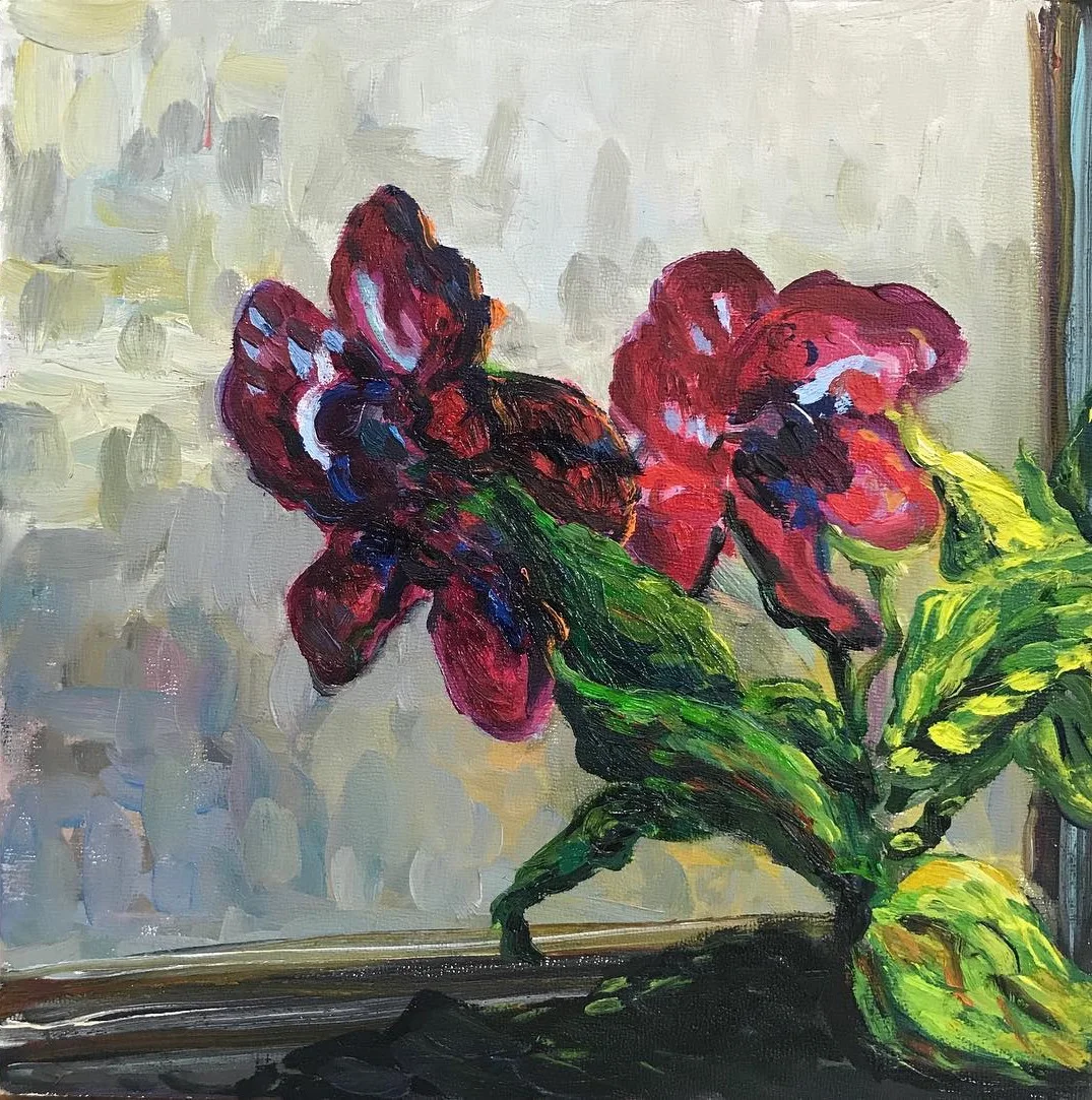 Orchids framed by a window