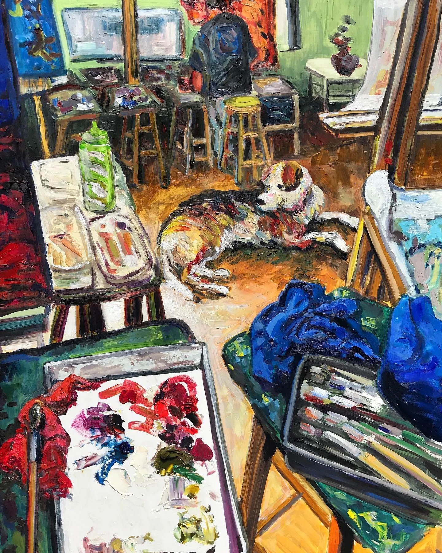 Studio interior with Bella the dog