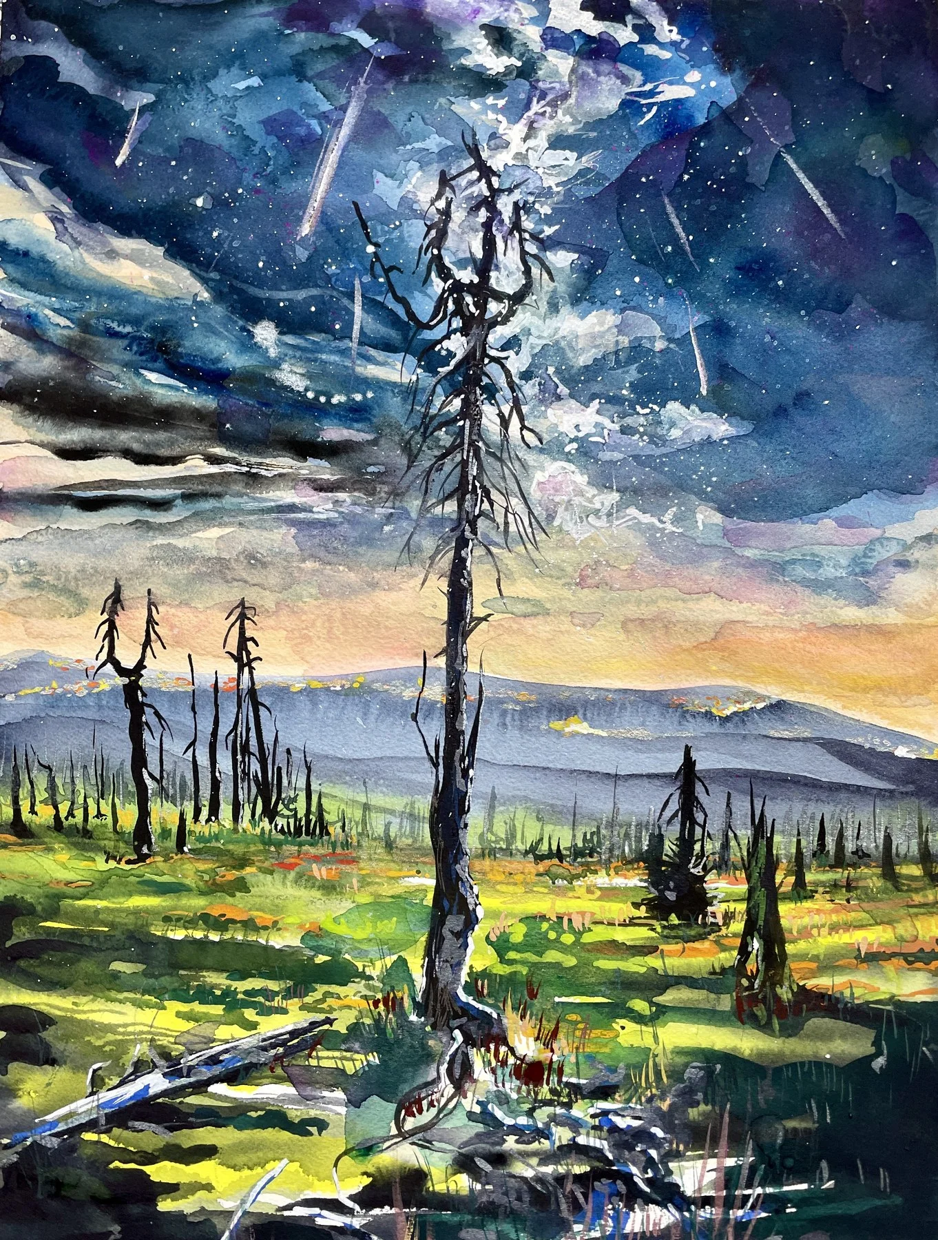 Starry mountain meadow with fire-scarred trees
