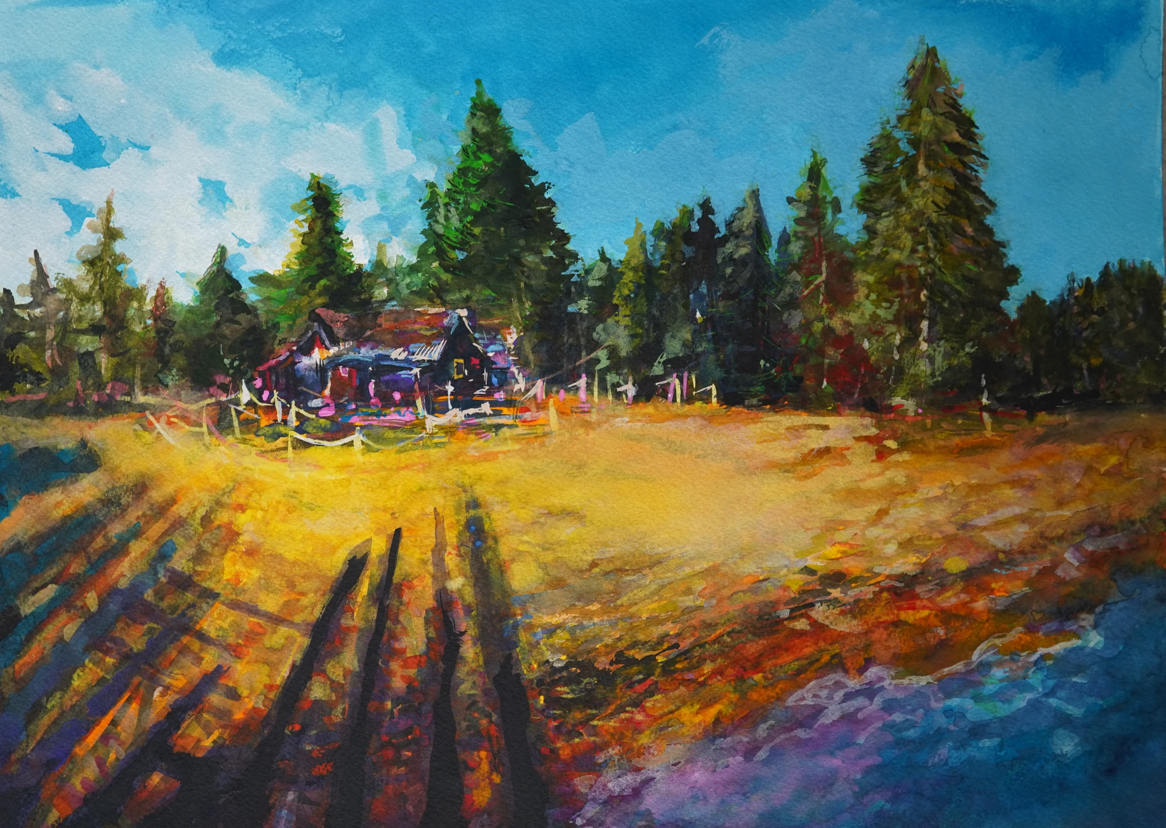 A cabin beside dark pines, with long shadows across a yellow meadow.