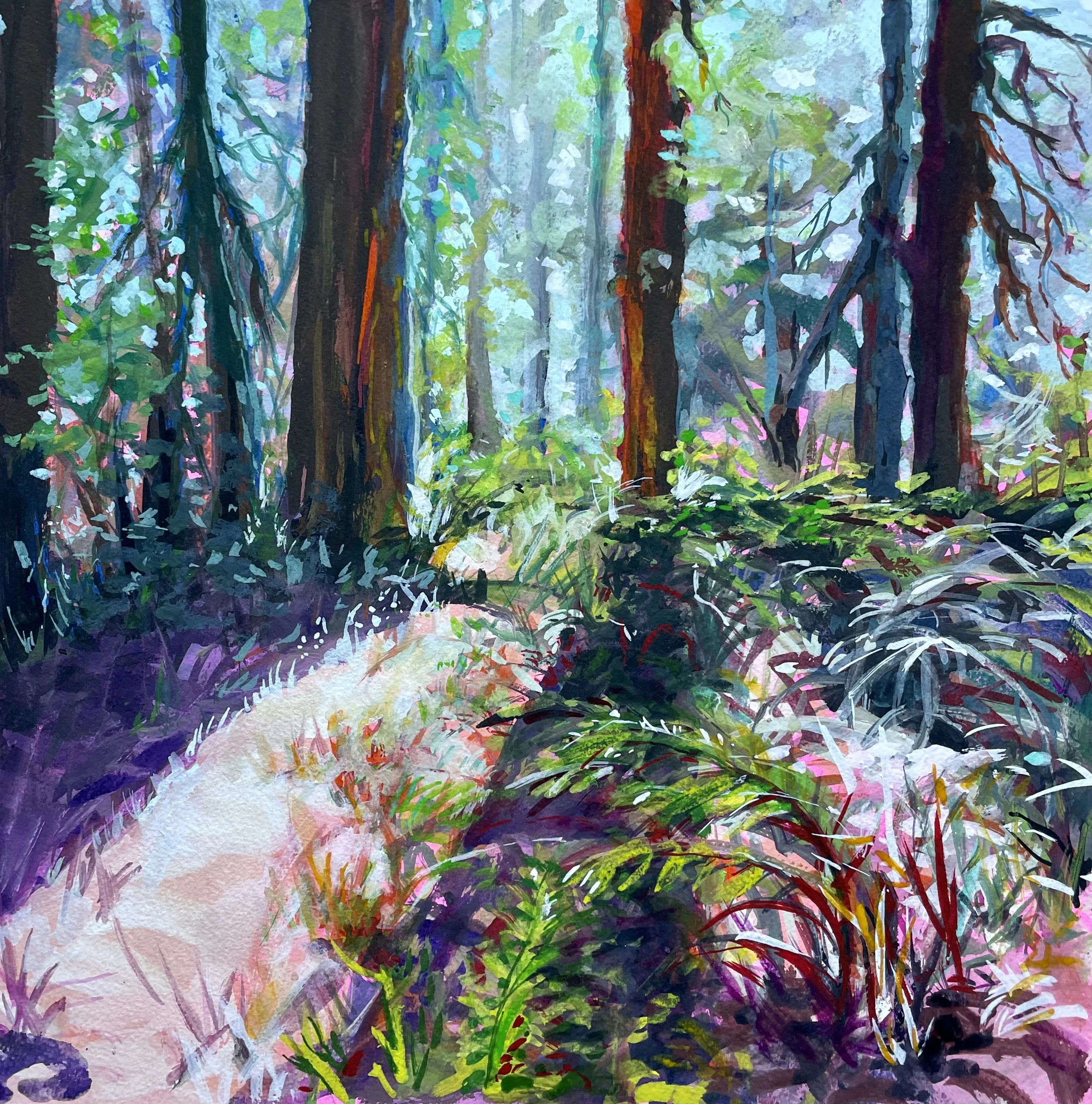 Redwood forest, Avenue of the Giants, California